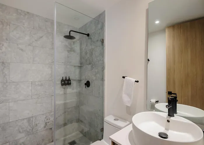 Resplendent 2br In Roma Norte